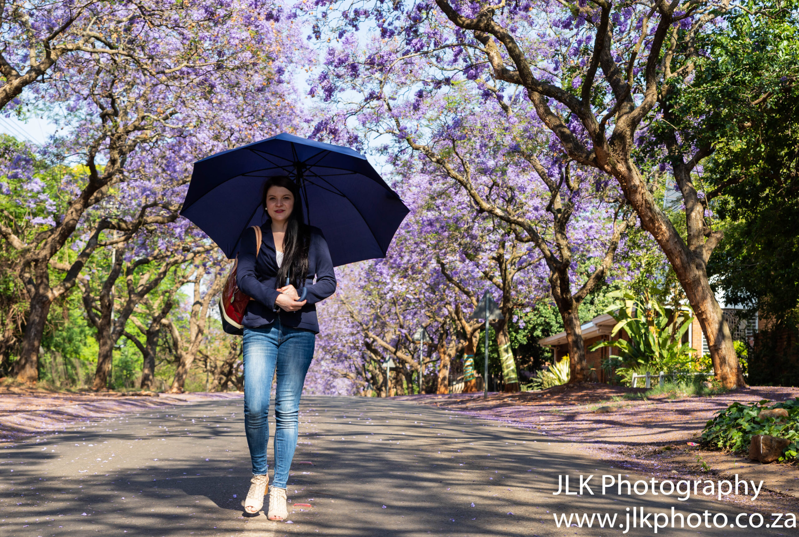 Friends and Jacarandas